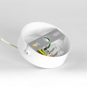 Подвесной светильник Lussole Gregg LSP-8964 в Кунгуре - kungur.ok-mebel.com | фото 7