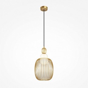 Подвесной светильник Maytoni Levitation MOD376PL-01G1 в Кунгуре - kungur.ok-mebel.com | фото 2