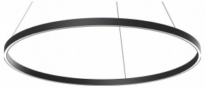 Подвесной светильник Maytoni Rim MOD058PL-L54BK в Кунгуре - kungur.ok-mebel.com | фото