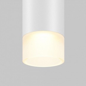 Подвесной светильник Maytoni Skim TR191-1-3W3K-M-BW в Кунгуре - kungur.ok-mebel.com | фото 2
