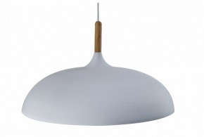 Подвесной светильник Moderli Hygo V11447-1P в Кунгуре - kungur.ok-mebel.com | фото