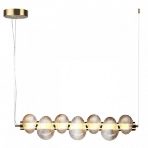 Подвесной светильник Odeon Light Bruco 5095/24L в Кунгуре - kungur.ok-mebel.com | фото 2