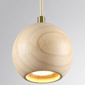 Подвесной светильник Odeon Light Caucho 7061/1 в Кунгуре - kungur.ok-mebel.com | фото 2