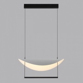 Подвесной светильник Odeon Light Next 7015/20L в Кунгуре - kungur.ok-mebel.com | фото 4