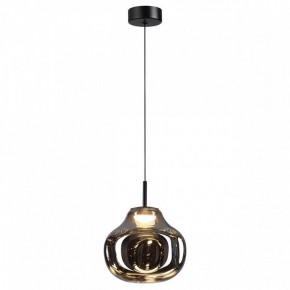 Подвесной светильник Odeon Light Vaso 5097/4LC в Кунгуре - kungur.ok-mebel.com | фото 2