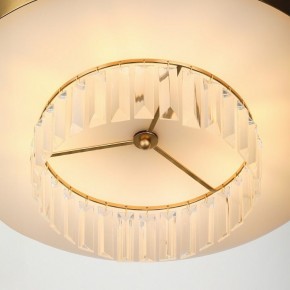 Подвесной светильник Rivoli Vickie Б0061902 в Кунгуре - kungur.ok-mebel.com | фото 11