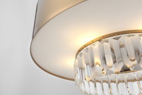 Подвесной светильник Rivoli Vickie Б0061902 в Кунгуре - kungur.ok-mebel.com | фото 14