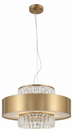 Подвесной светильник Rivoli Vickie Б0061902 в Кунгуре - kungur.ok-mebel.com | фото 5