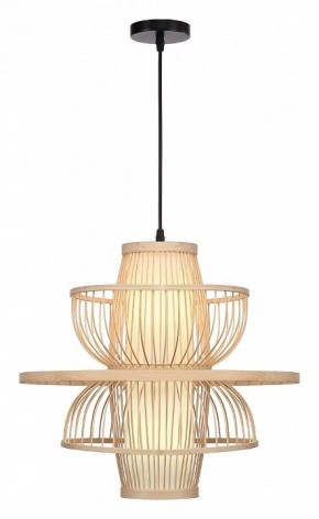 Подвесной светильник ST-Luce ALMA SL6241.513.01 в Кунгуре - kungur.ok-mebel.com | фото 2