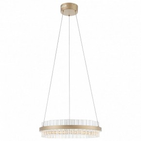 Подвесной светильник ST-Luce Cherio SL383.203.01 в Кунгуре - kungur.ok-mebel.com | фото 3