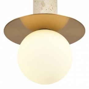 Подвесной светильник ST-Luce Earthy SL1194.303.01 в Кунгуре - kungur.ok-mebel.com | фото 5