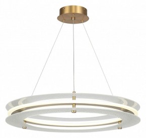 Подвесной светильник ST-Luce FAGY SL6245.203.01 в Кунгуре - kungur.ok-mebel.com | фото 2