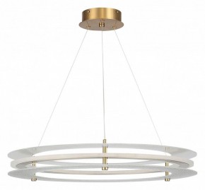 Подвесной светильник ST-Luce FAGY SL6245.203.01 в Кунгуре - kungur.ok-mebel.com | фото 3