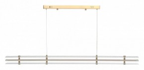 Подвесной светильник ST-Luce FAGY SL6245.223.01 в Кунгуре - kungur.ok-mebel.com | фото 3