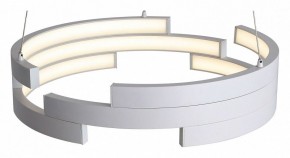 Подвесной светильник ST-Luce Genuine SL963.503.01 в Кунгуре - kungur.ok-mebel.com | фото