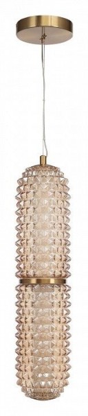 Подвесной светильник ST-Luce SAGUARO SL6144.303.01 в Кунгуре - kungur.ok-mebel.com | фото 3