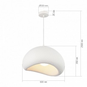 Подвесной светильник ST-Luce WABI SABI SL1522.513.01 в Кунгуре - kungur.ok-mebel.com | фото 5