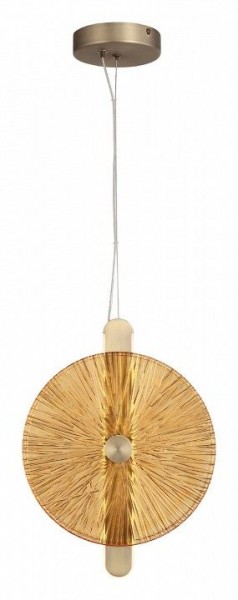 Подвесной светильник ST-Luce WASI SL6141.313.01 в Кунгуре - kungur.ok-mebel.com | фото 2