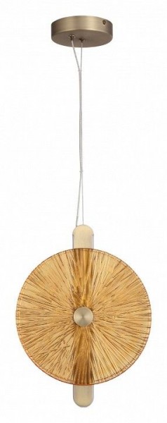 Подвесной светильник ST-Luce WASI SL6141.313.01 в Кунгуре - kungur.ok-mebel.com | фото 3