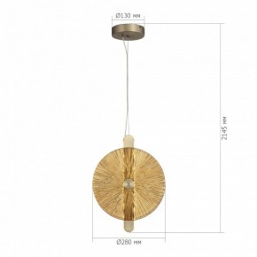 Подвесной светильник ST-Luce WASI SL6141.313.01 в Кунгуре - kungur.ok-mebel.com | фото 5