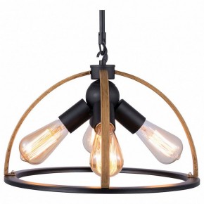 Подвесной светильник TopLight Jasmin TL1179H-04BK в Кунгуре - kungur.ok-mebel.com | фото