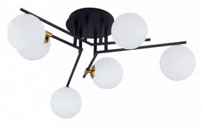 Потолочная люстра Arte Lamp Gemini A2243PL-6BK в Кунгуре - kungur.ok-mebel.com | фото