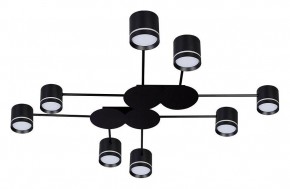 Потолочная люстра Arte Lamp Legacy A8024PL-8BK в Кунгуре - kungur.ok-mebel.com | фото