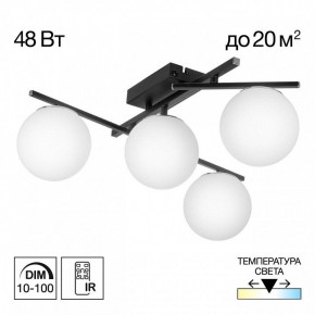 Потолочная люстра Citilux Dorsy CL223142 в Кунгуре - kungur.ok-mebel.com | фото 9