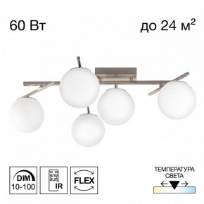 Потолочная люстра Citilux Dorsy CL223151 в Кунгуре - kungur.ok-mebel.com | фото 2