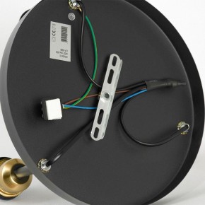 Потолочная люстра Lussole Mitchel LSP-8996 в Кунгуре - kungur.ok-mebel.com | фото 5