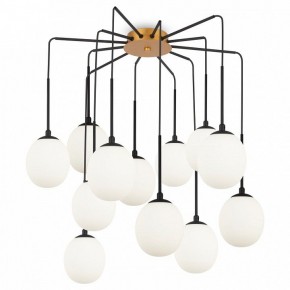 Потолочная люстра Maytoni Branch MOD176PL-12G в Кунгуре - kungur.ok-mebel.com | фото 3