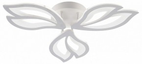 Потолочная люстра Natali Kovaltseva FORTUNA LED LAMPS 81107/2C в Кунгуре - kungur.ok-mebel.com | фото
