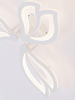 Потолочная люстра Natali Kovaltseva FORTUNA LED LAMPS 81107/2C в Кунгуре - kungur.ok-mebel.com | фото 11