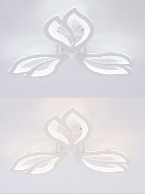 Потолочная люстра Natali Kovaltseva FORTUNA LED LAMPS 81107/2C в Кунгуре - kungur.ok-mebel.com | фото 4