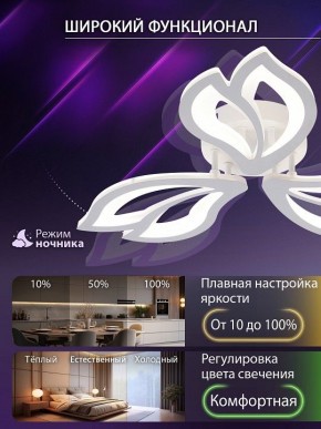 Потолочная люстра Natali Kovaltseva FORTUNA LED LAMPS 81107/2C в Кунгуре - kungur.ok-mebel.com | фото 5