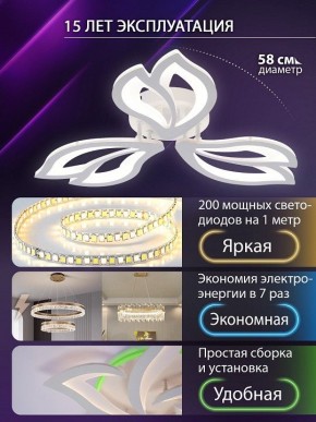 Потолочная люстра Natali Kovaltseva FORTUNA LED LAMPS 81107/2C в Кунгуре - kungur.ok-mebel.com | фото 6