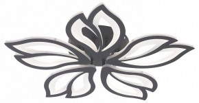 Потолочная люстра Natali Kovaltseva FORTUNA LED LAMPS 81107/5C в Кунгуре - kungur.ok-mebel.com | фото