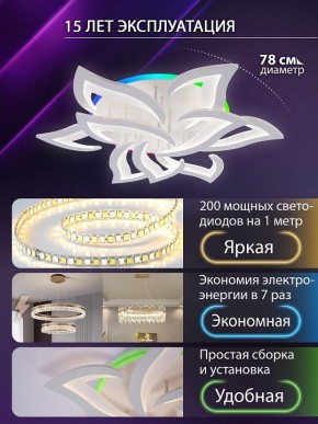 Потолочная люстра Natali Kovaltseva OLIMP LED LAMPS 81435 в Кунгуре - kungur.ok-mebel.com | фото 5