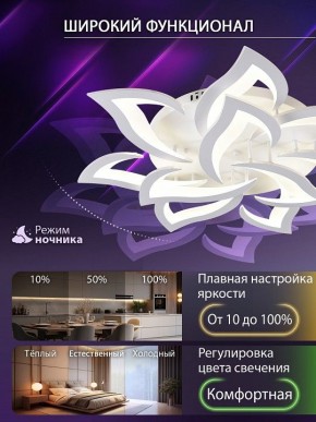 Потолочная люстра Natali Kovaltseva OLIMP LED SMART 84005 в Кунгуре - kungur.ok-mebel.com | фото 6