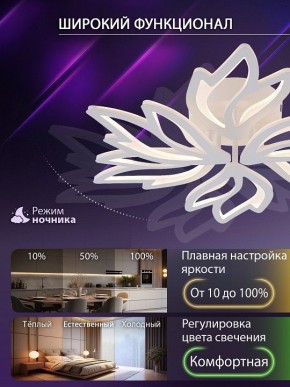 Потолочная люстра Natali Kovaltseva RIF LED LAMPS 81118/5C в Кунгуре - kungur.ok-mebel.com | фото 6