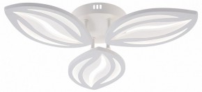 Потолочная люстра Natali Kovaltseva SM LED LAMPS 81456 в Кунгуре - kungur.ok-mebel.com | фото