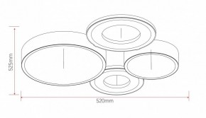 Потолочная люстра Rivoli Aliona Б0066451 в Кунгуре - kungur.ok-mebel.com | фото 11