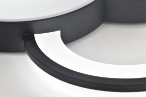 Потолочная люстра Rivoli Aliona Б0066452 в Кунгуре - kungur.ok-mebel.com | фото 10