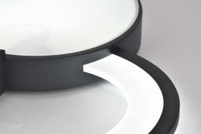 Потолочная люстра Rivoli Aliona Б0066452 в Кунгуре - kungur.ok-mebel.com | фото 11