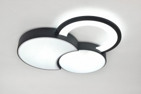 Потолочная люстра Rivoli Aliona Б0066452 в Кунгуре - kungur.ok-mebel.com | фото 8
