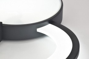 Потолочная люстра Rivoli Aliona Б0066452 в Кунгуре - kungur.ok-mebel.com | фото 9