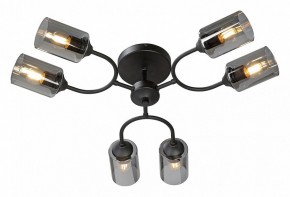Потолочная люстра Vitaluce V2823 V2823-1/6PL в Кунгуре - kungur.ok-mebel.com | фото 2