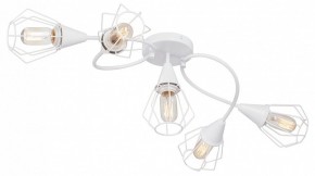 Потолочная люстра Vitaluce V3037 V3037-0/5PL в Кунгуре - kungur.ok-mebel.com | фото
