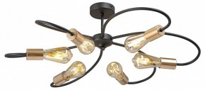 Потолочная люстра Vitaluce V3076 V3076-1/6PL в Кунгуре - kungur.ok-mebel.com | фото 3