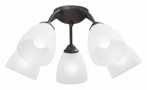Потолочная люстра Vitaluce V3184 V3737-2/5PL в Кунгуре - kungur.ok-mebel.com | фото